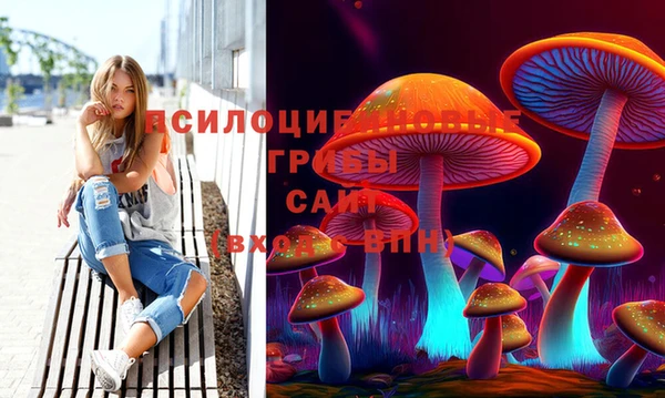 меф Козельск