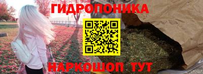 PSILOCYBIN Свободный