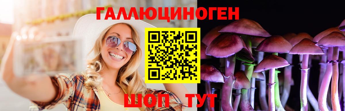 Псилоцибиновые грибы прущие грибы  Вход с VPN  Люберцы 